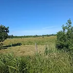 5 Star Holiday Home In Blavand Blåvand