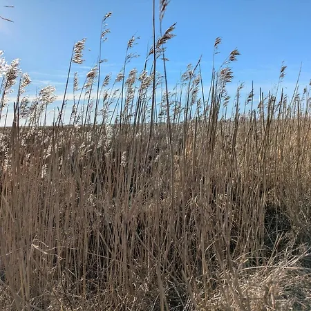 Luxurious Retreat In Blavand-by Traum Σπίτι διακοπών