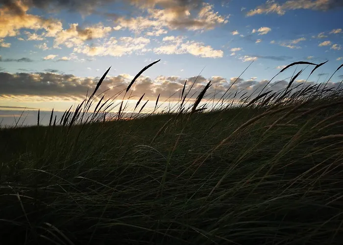 Luxurious Retreat In Blavand-by Traum * 布拉万德