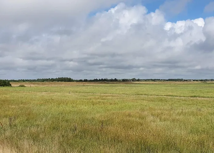 Luxurious Retreat In Blavand-by Traum 布拉万德