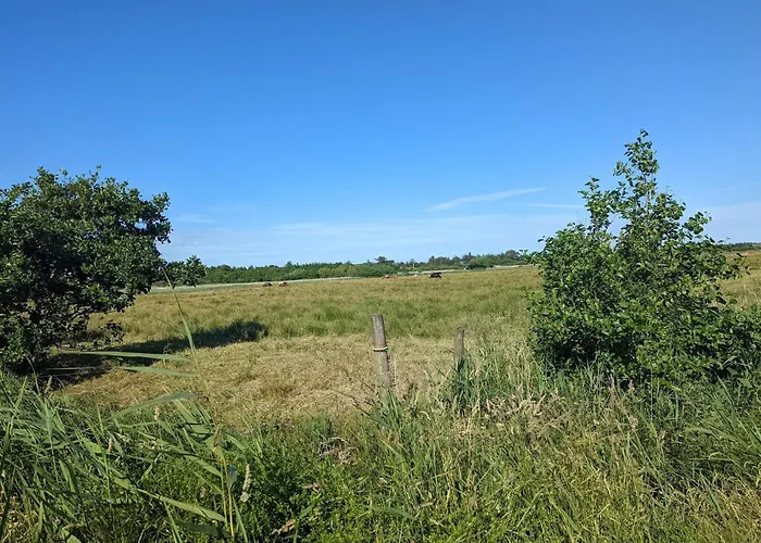 Luxurious Retreat In Blavand-by Traum 布拉万德