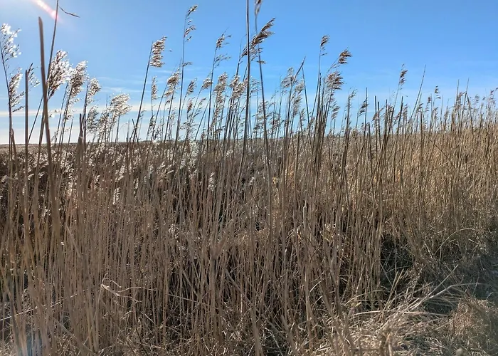 Luxurious Retreat In Blavand-by Traum 度假居